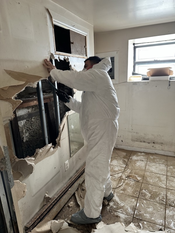 All Star Restoration Sewage Cleanup (1)