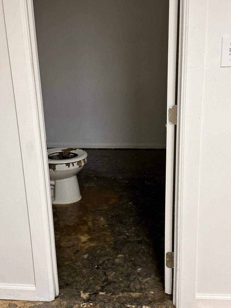 All Star Restoration Sewage Cleanup (8)